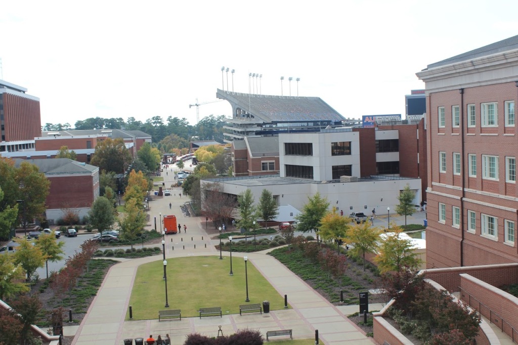 Auburn University view